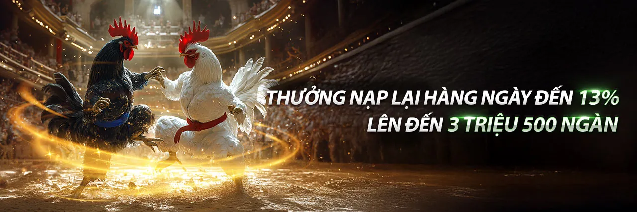 Hình ảnh đá gà trực tuyến tại B52 với khuyến mãi hấp dẫn